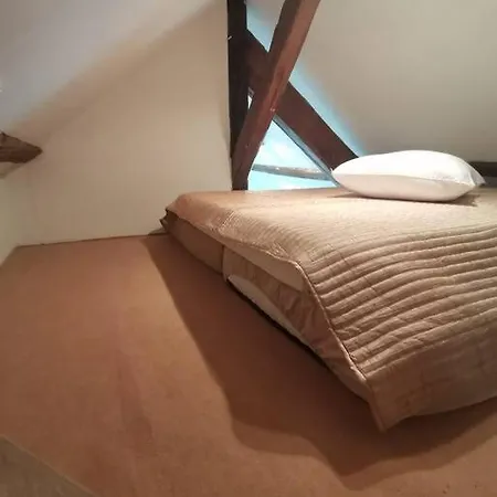 Apartment Cozy Avec Mezzanine